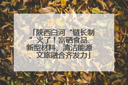 陕西白河“链长制”火了！富硒食品、新型材料、清洁能源、文旅融合齐发力